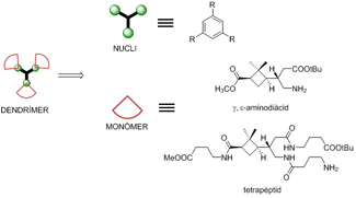 Dendrímers peptídics