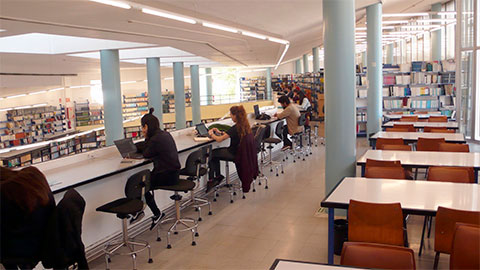 Estudiants a una biblioteca de la UAB