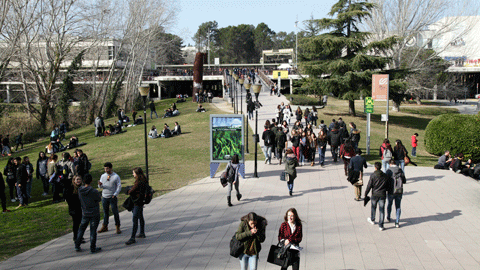 estudiants a la gespa del campus