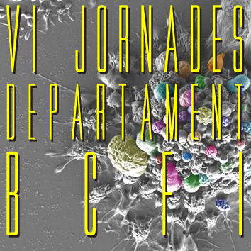VI Jornades del Departament