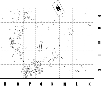 Dibuix en planta de la superfície excavada del jaciment