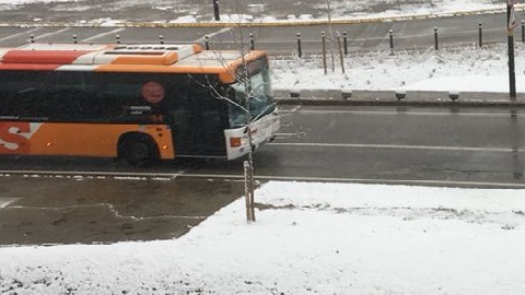 Bus circulando por el campus