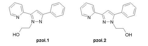 Regioisòmers
