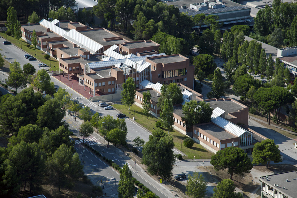 facultataerea