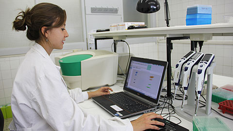 Laboratorio de Luminiscencia y Espectroscopia de Biomoléculas