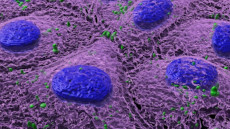 Nanoplāstics