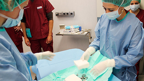 Nou curs a l'Hospital Clínic Veterinari