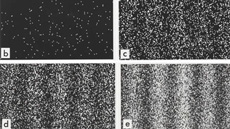 Imatge extreta de l'article  A. Tonomura et al., Amer. J. Phys. 57(2):117-120, 1989