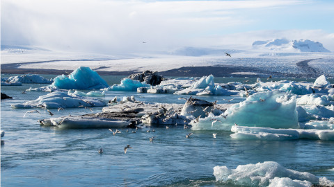 Jornades Argó Geografia: Emergència Climàtica. De la reflexió a l'aula