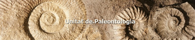 Unitat Paleontologia UAB