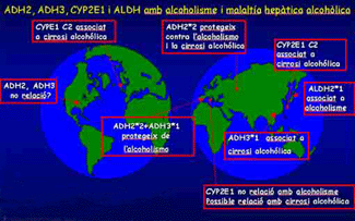 Mapa relacional geografia-gens