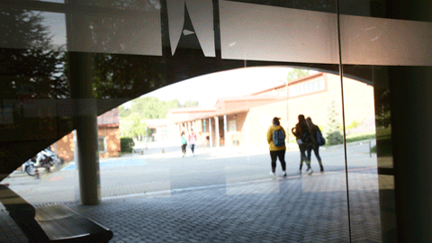 Facultat de Ciències de l'Educació