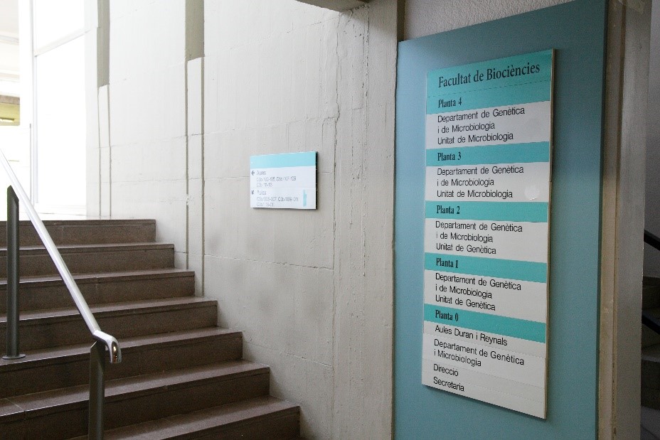 Fotografia passadís de la Facultat de Biociències 