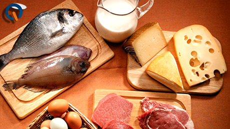 Master Qualitat Aliments Origen Animal