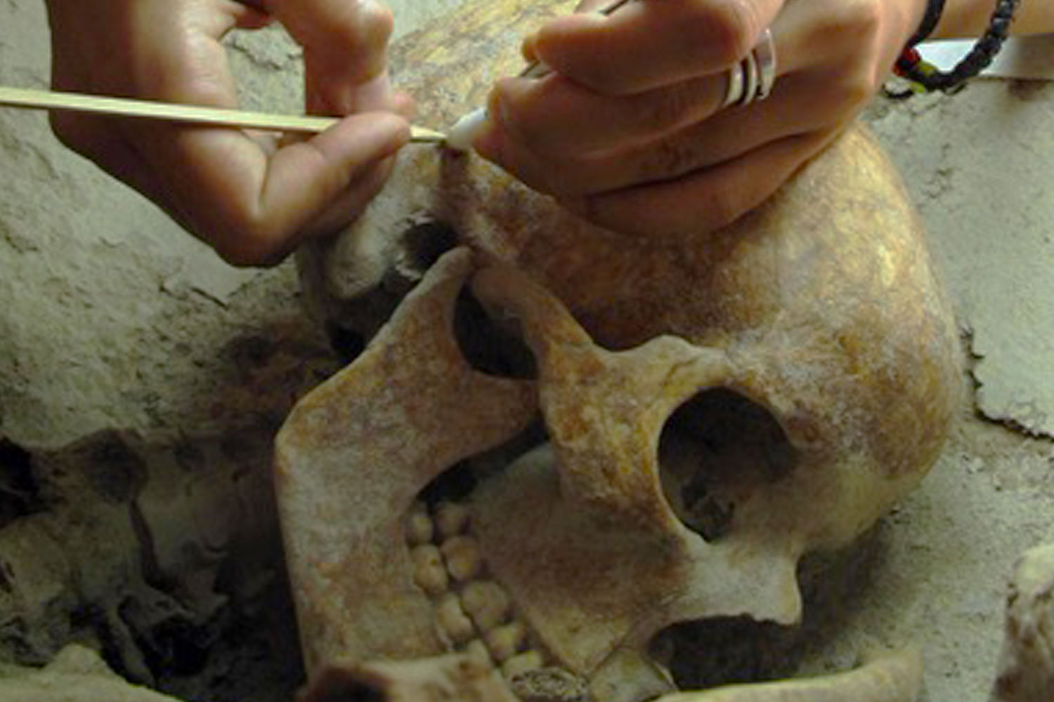 Màster oficial de Prehistoria, Antiguitat i Edat Mitjana