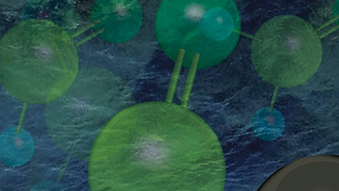 18th International Workshop on the Enzymology and Molecular Biology of Carbonyl Metabolism
