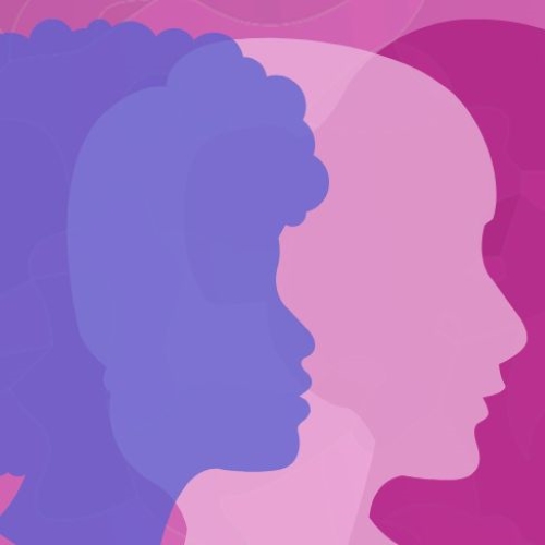Dones en la Ciència Política, la Sociologia i les Relacions Internacionals