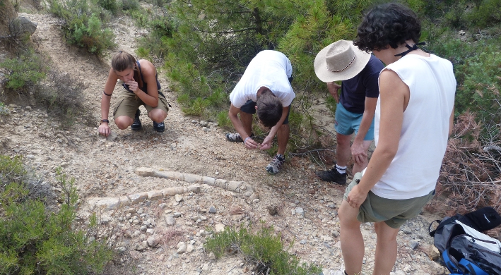 Campus Paleontologia / Pallars Jussà