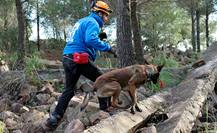 Especialització Unitats Canines Protecció Civil