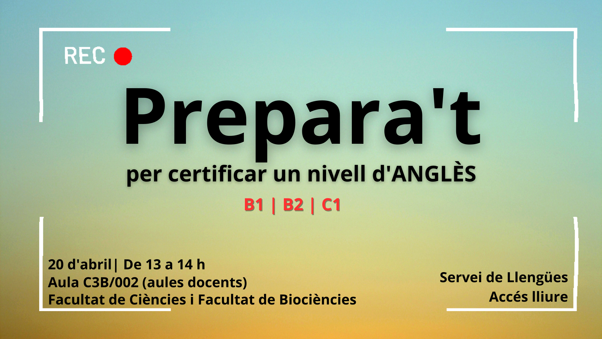 servei llengues