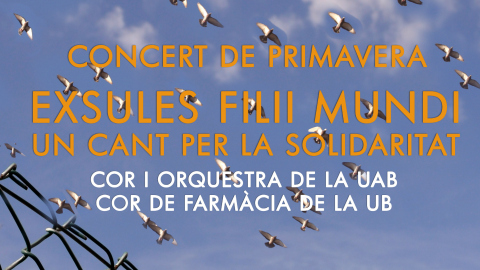 Imatge concert primavera noticia