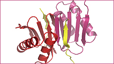 IMG_doctorat_biotecnologia_foto2
