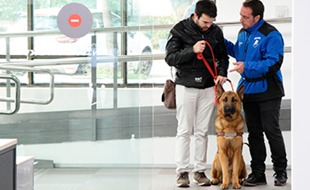 Unitats Canines d'Assistència