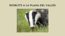 Imatge Bioblitz