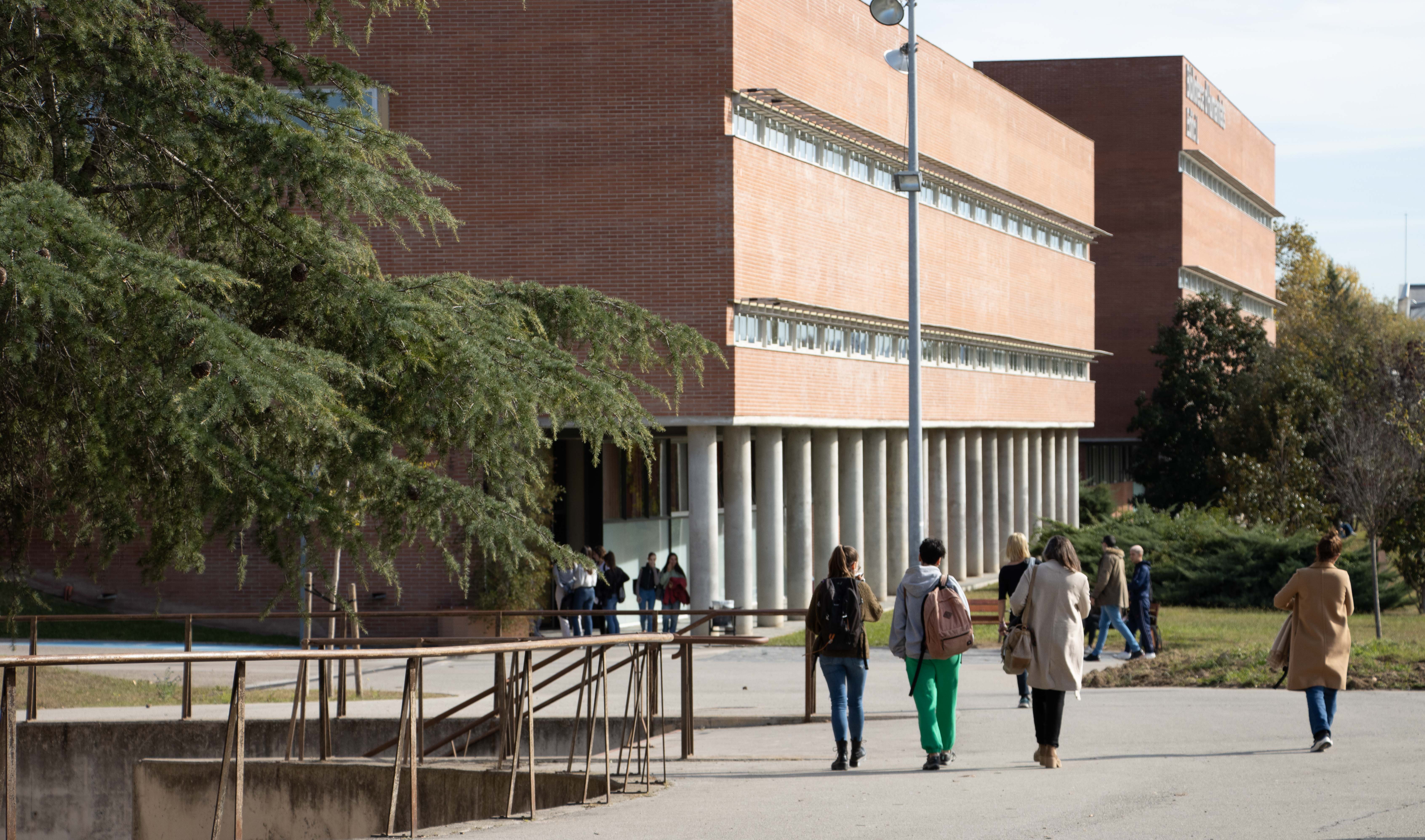 Alumnat caminat d'esquenes per la facultat.