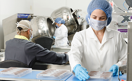 Màster Seguretat i Qualitat Alimentària