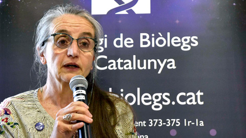 Premi Jordina Belmonte
