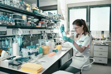 Mentoratge Acadèmic