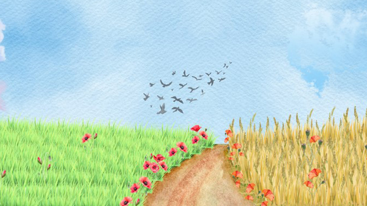 dibujo de un campo de amapolas con un camino en medio