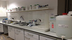 IMG_MentoratgeAcademic2918