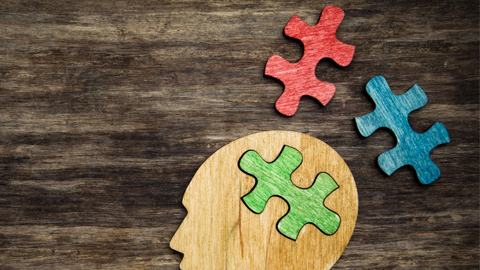 Imatge puzzle cervell