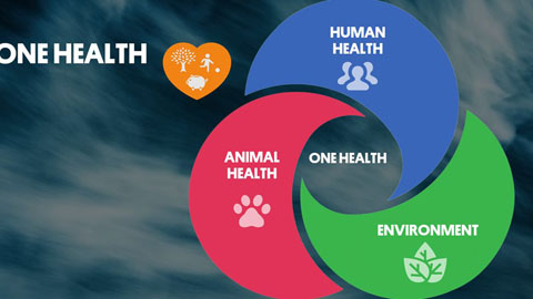 OneHealthLogoColors