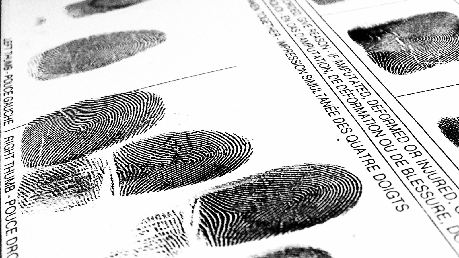 Xarxa Alumni Criminologia