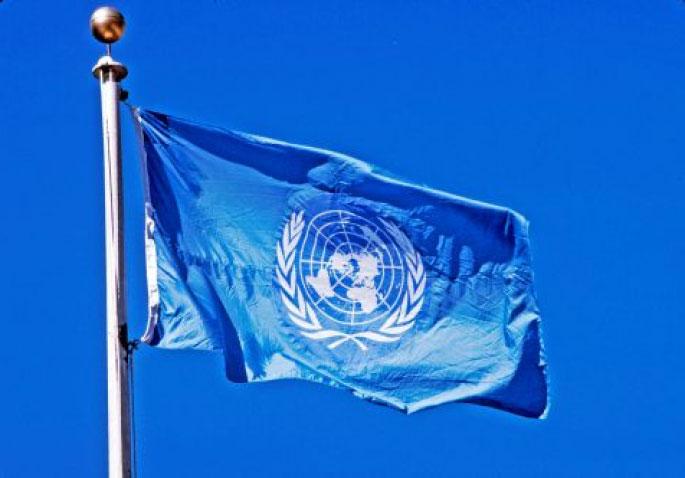 Bandera ONU