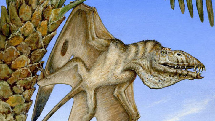 Descobert un rar pterosaure triàsic a Utah 