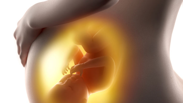 alcohol embaràs hormones placentàries