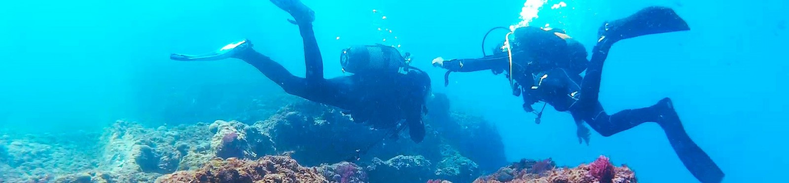 L039escalfament i l039acidificacio oceanica podrien afectar l039atractiu recreatiu de zones de busse