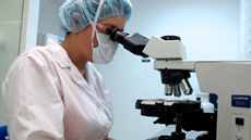 Investigadora
