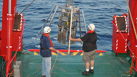 Bottom trawling causes deep-sea biological desertification