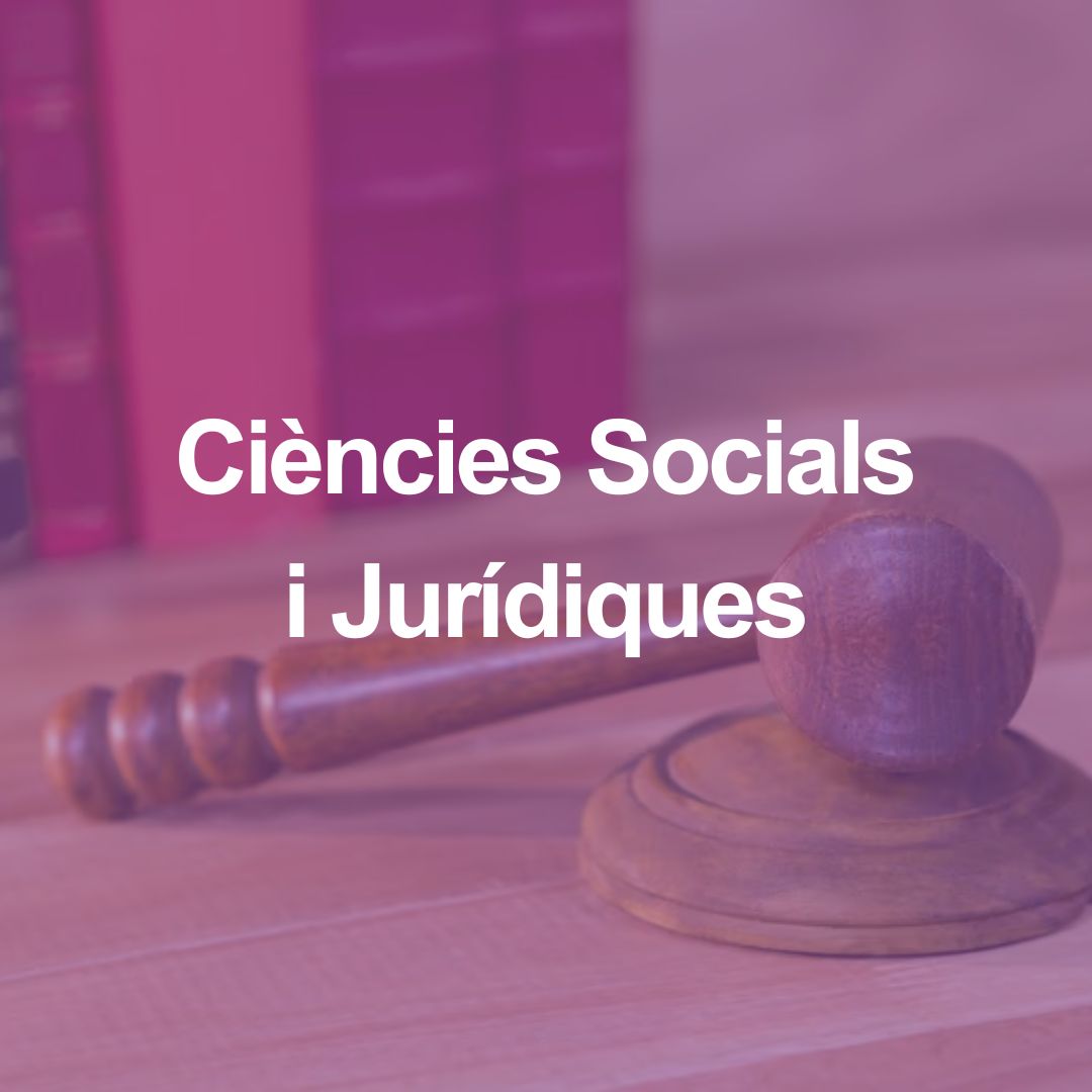 Imatge baner Oferta de Ciencies Socials International Tracks