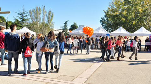 convocatòries participació fm2016