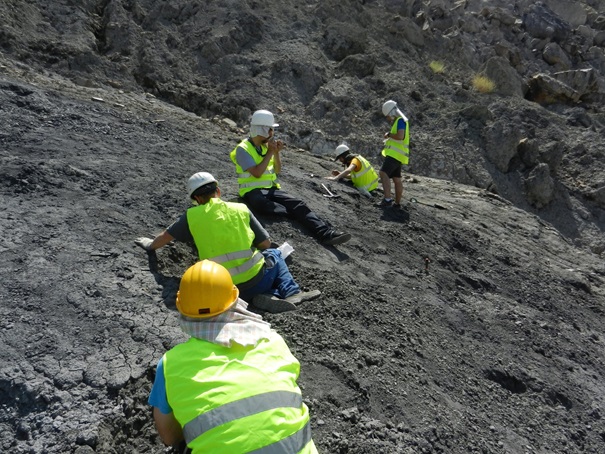 Dinosaures i ambre: un jaciment de Terol obre una finestra única al món del Cretaci, fa 110 milions