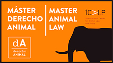 Dret Animal i Socitat
