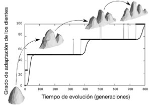 Simulen en 3D l'evolució per selecció natural d'òrgans complexos