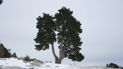 Fotografia de la natura relacionada amb la jornada