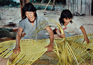 Dones d'una tribu amazónica treballant artesanalment amb plantes